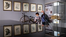 Výstava Poklady sbírek Královéhradeckého kraje ukazuje první devné kolo z...