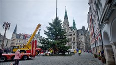 Liberec Vánoní stromek ped libereckou radnicí u eká na ozdobení. Bhem...