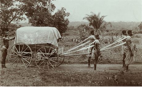 Fotografie z roku 1910, popsaná neznámým autorem jako Sklize bavlny v jedné...