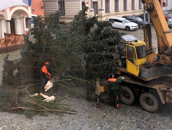 Na námstí Svornosti v eském Krumlov pivezli nejdíve smrk pichlavý. Jene...