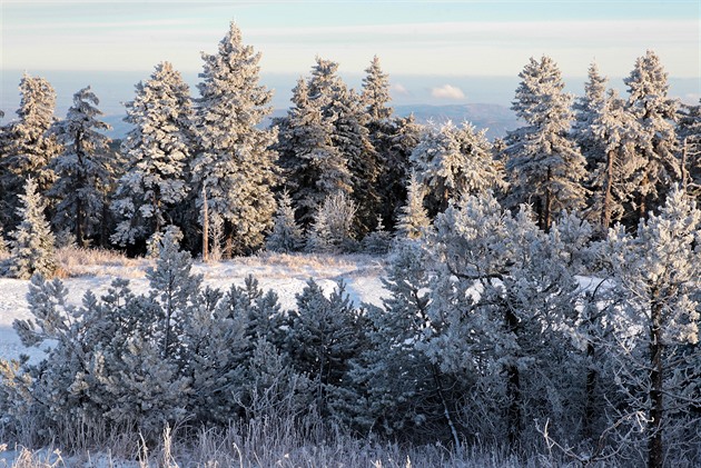 Martin na koni to vezme i přes Česko. Meteorologové řekli, kde nasněží