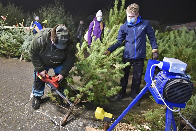 Prudké zdražování se stromkům asi vyhne. Češi jich každoročně nakoupí přes milion