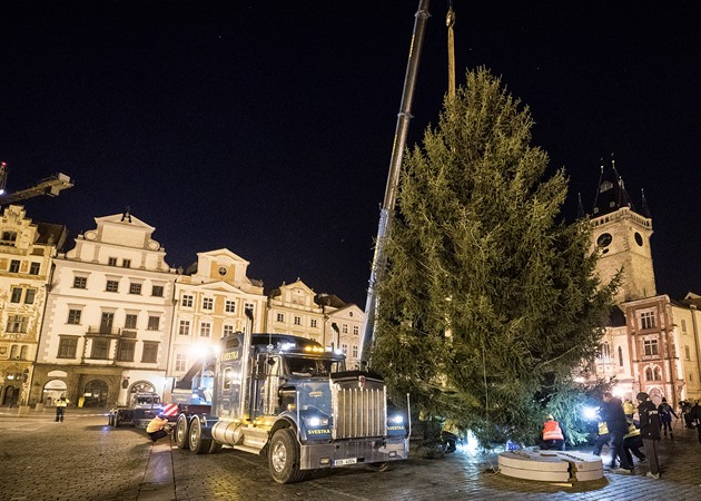 Na praském Staromstském námstí stojí vánoní smrk. Pochází z Kamenného...