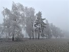 Mlha inverzní oblanosti spolu s mrazem pokryly krajinu ve vyích polohách...