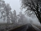 Mlha inverzní oblanosti spolu s mrazem pokryly krajinu ve vyích polohách...