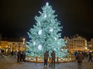 Vánoní strom na námstí Republiky v Plzni u záí. Kvli nepíznivé epidemické...