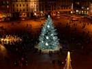 Vánoní strom na námstí Republiky v Plzni u svítí.