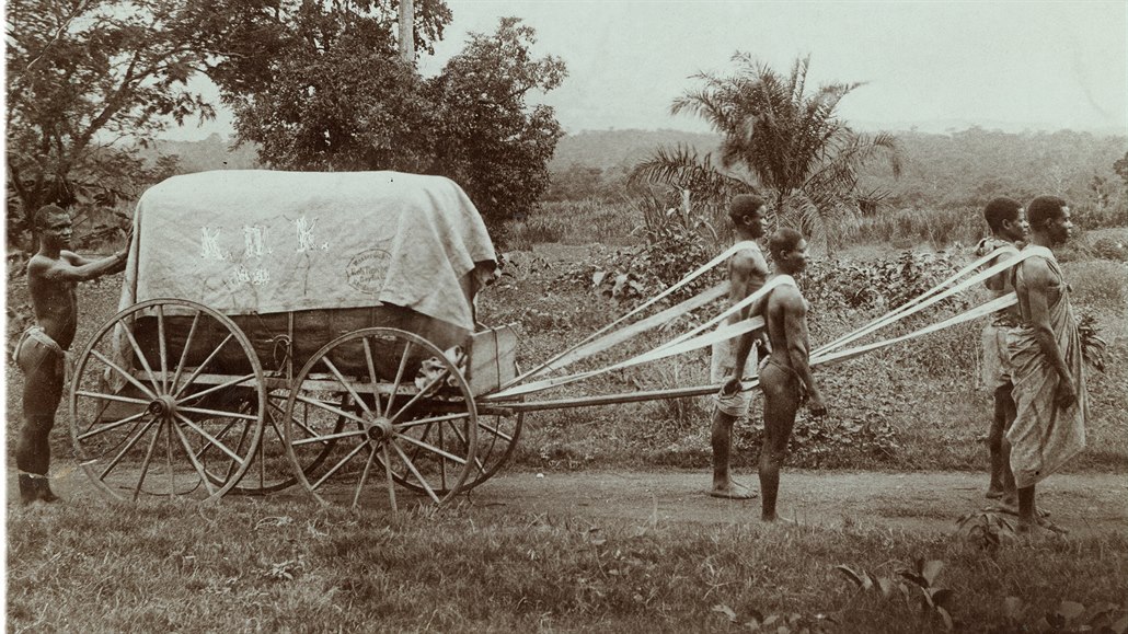 Fotografie z roku 1910, popsaná neznámým autorem jako „Sklizeň bavlny v jedné...