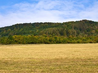 Vladař (693 m n. m.) je mohutná stolová hora v okrese Karlovy Vary.