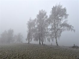 Mlha inverzní oblanosti spolu s mrazem pokryly krajinu ve vyích polohách...