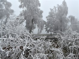 Mlha inverzní oblanosti spolu s mrazem pokryly krajinu ve vyích polohách...