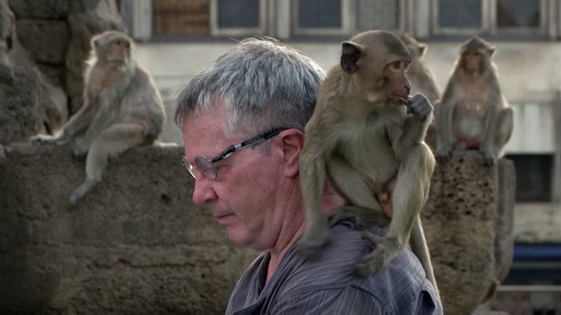 Barton se sna�il nehnout ani brvou.