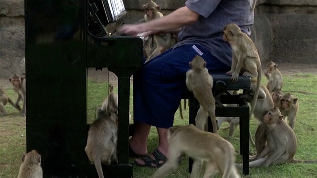 Tady p�ineslo p��slov� �zv�dav� jako opice� sv�j konkr�tn� obr�zek.