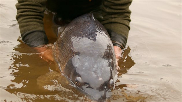 Sv�j �ivotn� �lovek samoz�ejm� P�trs pustil.