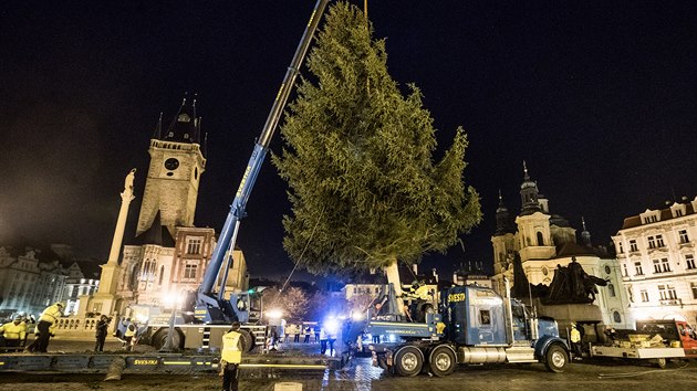 Na pražském Staroměstském náměstí stojí vánoční smrk. Pochází z Kamenného Přívozu, v noci ho do Prahy přivezl americký tahač. (24. listopadu 2020)