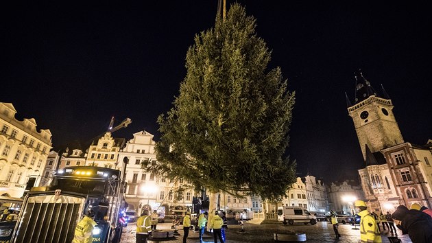 Na praskm Staromstskm nmst stoj vnon smrk. Pochz z Kamennho Pvozu, v noci ho do Prahy pivezl americk taha. (24. listopadu 2020)