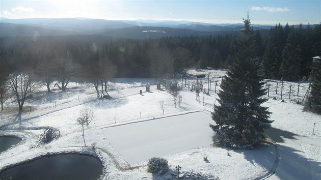 Sníh v šumavské Bučině (21. listopadu 2020)