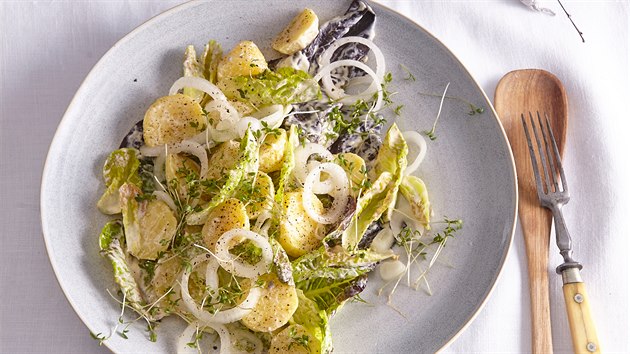 Bramborový salát s an�ovi�kovým dresinkem a salátovými listy