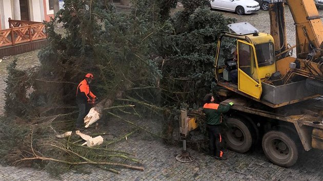 Na nmst Svornosti v eskm Krumlov pivezli nejdve smrk pichlav. Jene ten se pi usazovn zlomil.