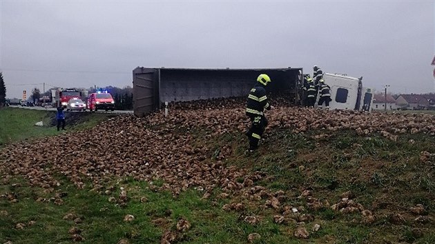 Z převráceného náklaďáku mezi obcemi Lípa nad Orlicí a Čestice na Rychnovsku se vysapala na silnici hromada řepy. (25.11.2020).