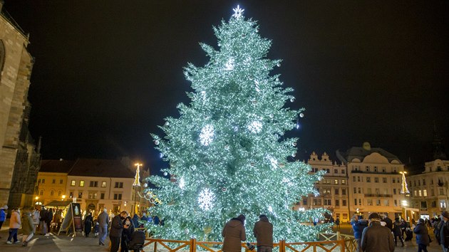 Vánoční strom na náměstí Republiky v Plzni už září. Kvůli nepříznivé epidemické situaci jeho slavnostní rozsvícení mohli lidé sledovat na internetu. (29. 11. 2020)