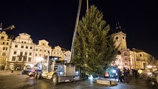 Na praském Staromstském námstí stojí vánoní smrk. Pochází z Kamenného...