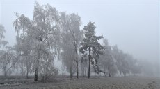 Mlha inverzní oblačnosti spolu s mrazem pokryly krajinu ve vyšších polohách...