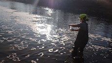 K novému úniku neznámé chemikálie do Be�vy do�lo 24. listopadu 2020 u obce...