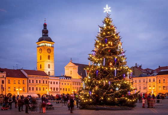 Vánoní strom na eskobudjovickém námstí Pemysla Otakara II. 