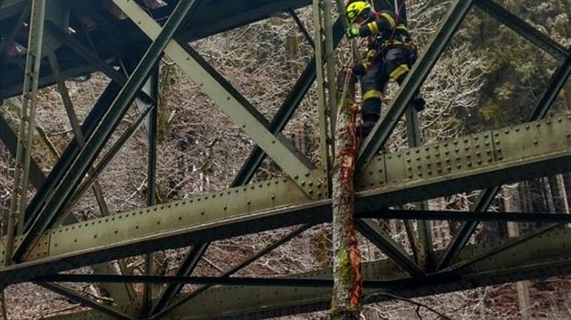 Na Semilsku spadl strom na vlak jedoucí po mostě.