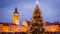 Vánoční strom na českobudějovickém náměstí Přemysla Otakara II. 