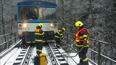 Do vzrostlého stromu v pondlí ráno najel osobní vlak. 