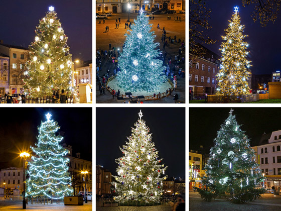 Vánoní stromy na ilustraním snímku z roku 2020