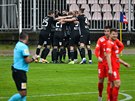 Fotbalisté eských Budjovic se radují z gólu proti Brnu.