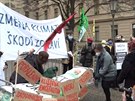 Zmna klimatu kodí zdraví, protestovali ekologové ped Úadem vlády