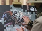 Zoo nechala vyrobit nadrozmrné puzzle, které budou lidé postupn skládat podle...