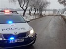 U Puklic na Jihlavsku havaroval autobus pevejc dti. Nejsp se s nm...