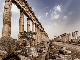 Martin Chamberlein zachytil monumentální památku v syrské Palmýře. Dříve, než...