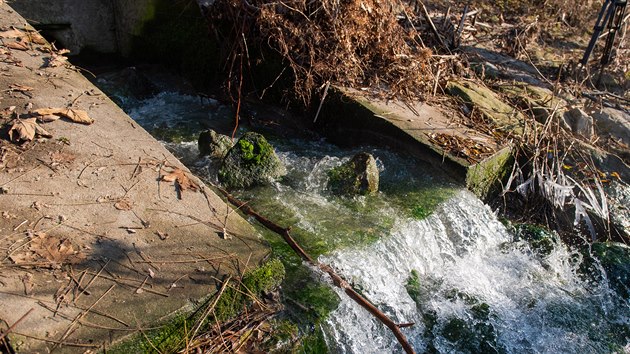 Ve středu 2. prosince se u výpusti potrubí z areálu v Juřince objevila znečištěná voda a několik mrtvých ryb.