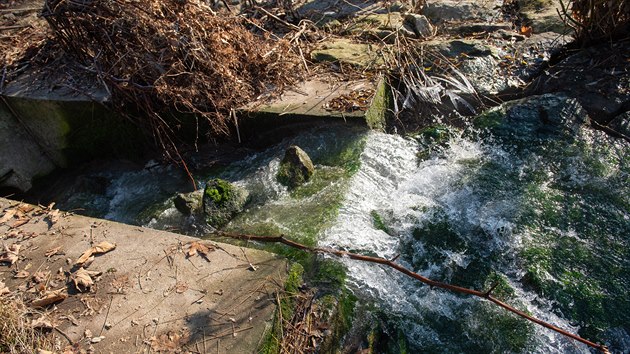 U výpusti potrubí z areálu v Juřince se znečištěná voda objevila po velké otravě ještě několikrát. K úhynu ryb už ale nedošlo. 