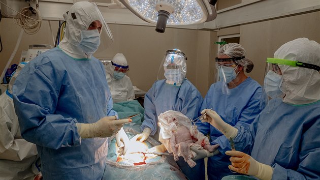V Nemocnici Tomáše Bati ve Zlíně porodila císařským řezem maminka nakažená koronavirem.