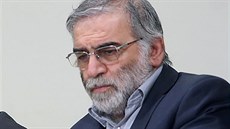 Íránský jaderný vdec Mohsen Fáhrízádeh na archivním snímku