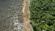 Destrukce pralesa zasáhla plochu o rozloze Stedoeského kraje. (7. srpna 2020)