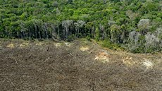 Destrukce pralesa zasáhla plochu o rozloze Středočeského kraje. (7. srpna 2020)