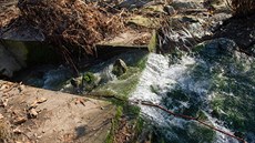 U výpusti potrubí z areálu v Juince se zneitná voda objevila po velké...