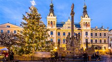 Váno�ní strom na Pern�týnském nám�stí v Pardubicích