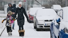 První sn�hová pokrývka na ji�ní Morav� (3. prosince 2020)