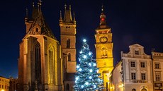 Velké náměstí v Hradci Králové zdobí vánoční jedle (30. 11. 2020).