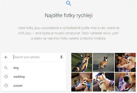 Fotky Google