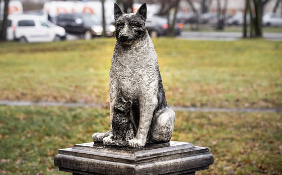 V estonském Tallinnu vztyili sochu psího tuláka Zorika, nkterým tamním...
